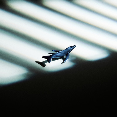 なあなあのジャケット写真