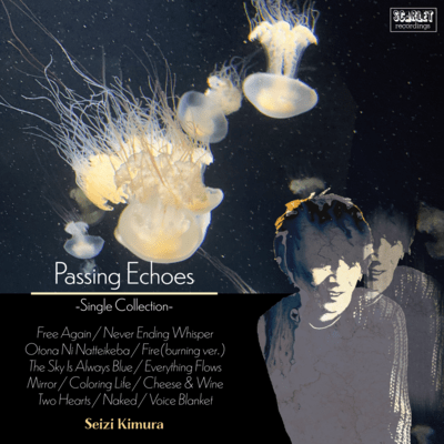 Passing Echoes -Single Collection- Front Cover