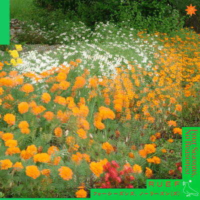 Four Seasons, No Reason (s)のジャケット写真