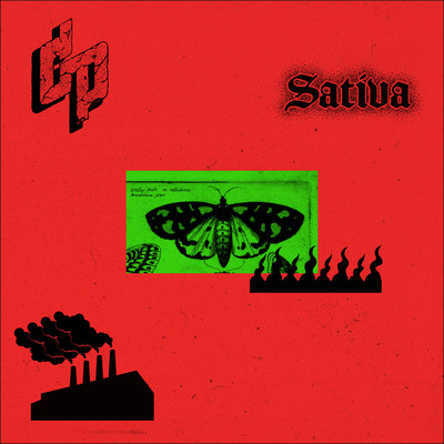 Sativaのジャケット写真
