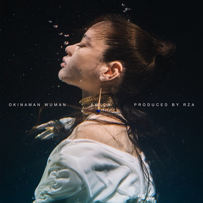 Noble Lies Front Cover