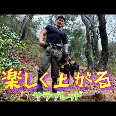 楽しく上がるのジャケット写真