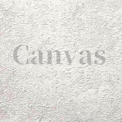 Canvas (feat. AARON) Front Cover