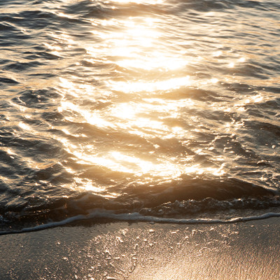 Seaglow Front Cover
