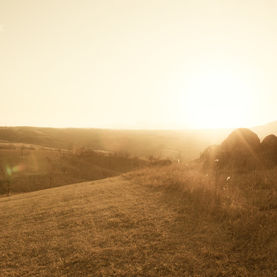 Wonderland Front Cover