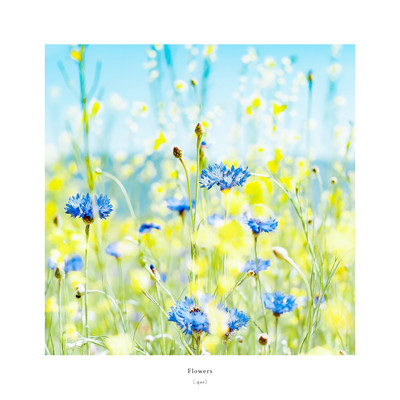 Flowers Front Cover