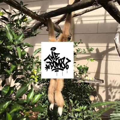 "Struck the 1st doms" Front Cover