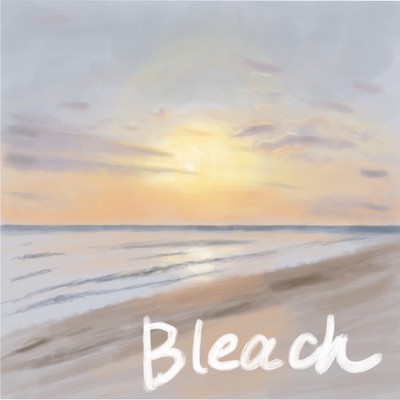 Bleach Front Cover