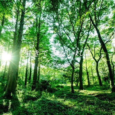 生きてさえいればのジャケット写真