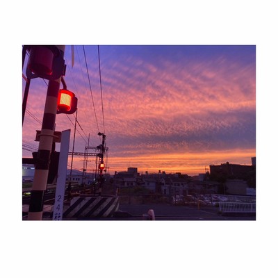 リアクト/梔子のジャケット写真