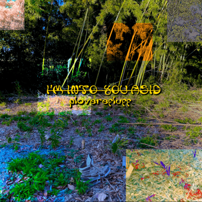 I'M INTO YOU ACIDのジャケット写真