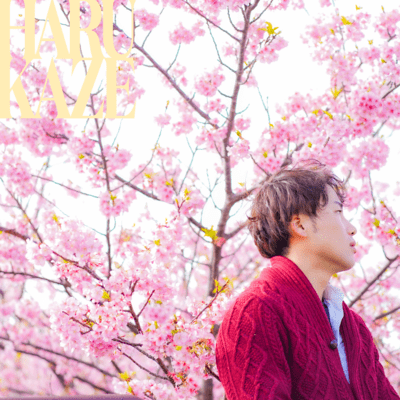 Harukaze Front Cover