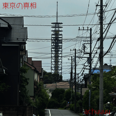 truth of Tokyo Front Cover