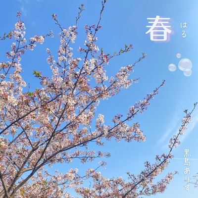Haru Front Cover