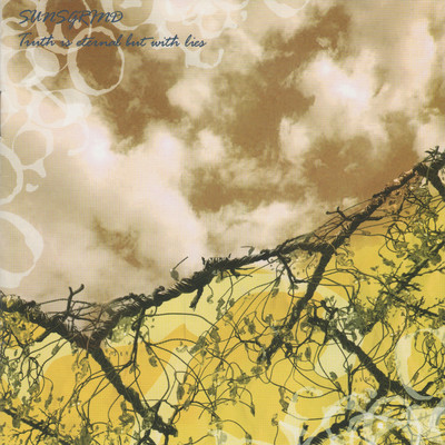 Piece of last one Front Cover