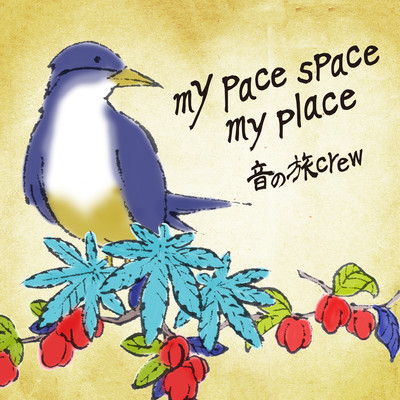 my pace space my place Front Cover