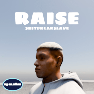 RAISEのジャケット写真