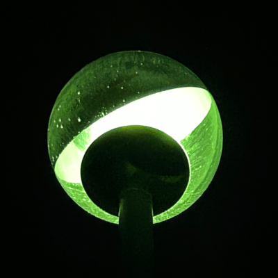 Zoom/TOURISMのジャケット写真