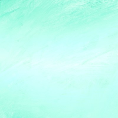 White Illusion Front Cover