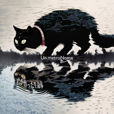 kimigatsukuttaseimeitai Front Cover