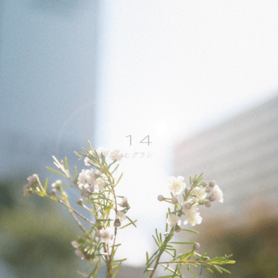 14のジャケット写真