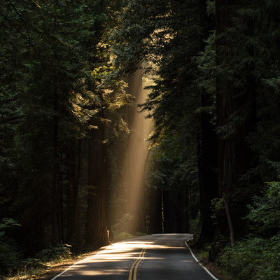 Evergreen Road Front Cover