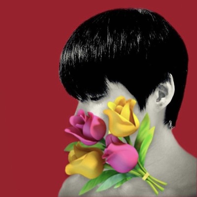 花束のソファのジャケット写真