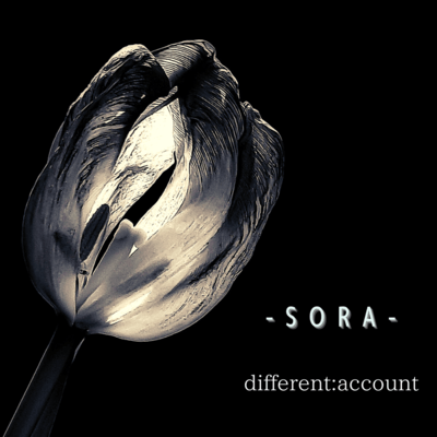 SORA Front Cover
