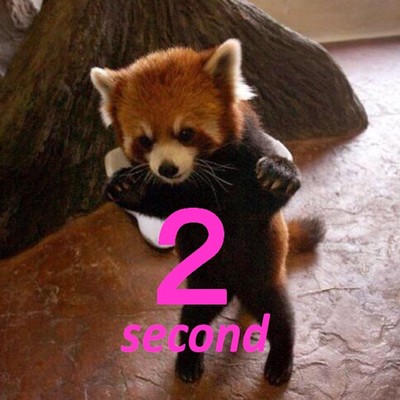 Star Sugar2 (Second)のジャケット写真