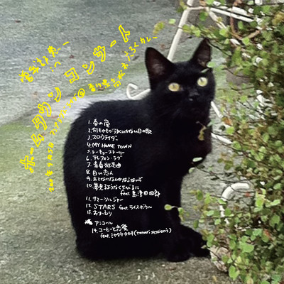 ホームタウンコンサート (Live)のジャケット写真