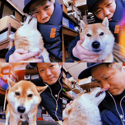 screw (Live at LIVE ROXY SHIZUOKA, 2026) Front Cover