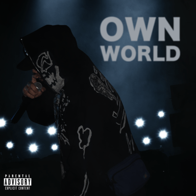 OWN WORLDのジャケット写真