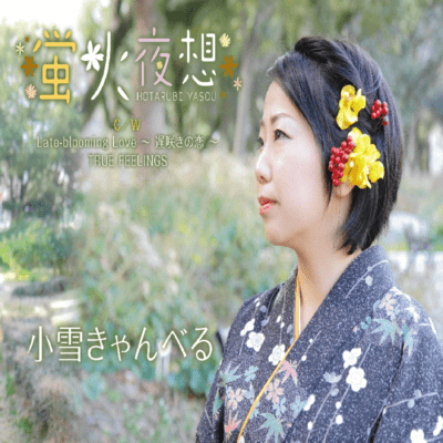 firefly nocturne Front Cover