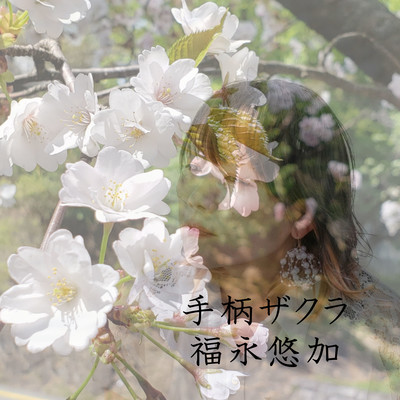 手柄ザクラのジャケット写真