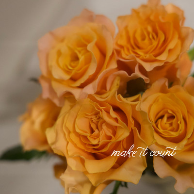 Make it count Front Cover