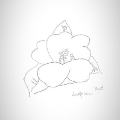 lonely rope Front Cover