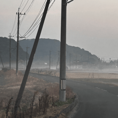 愚者愚者のジャケット写真