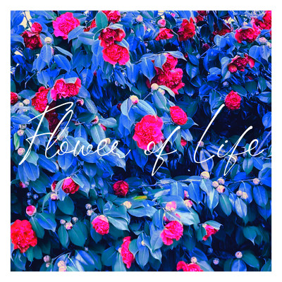 Flower of Life Front Cover