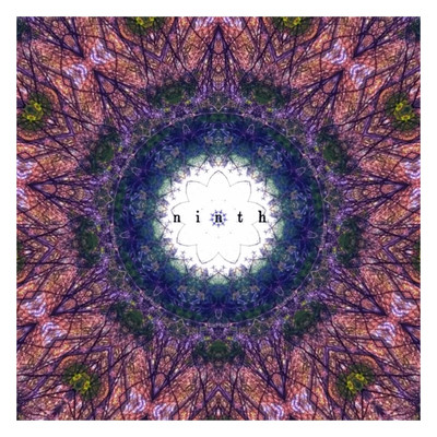 ninthのジャケット写真