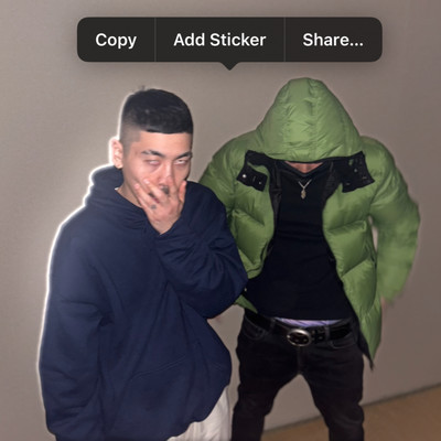 Mineirvzoのジャケット写真