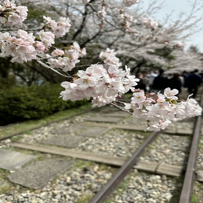 Kakushion (Ver.Band) Front Cover