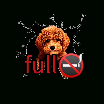 full smoke Front Cover