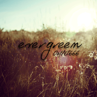 evergreenのジャケット写真