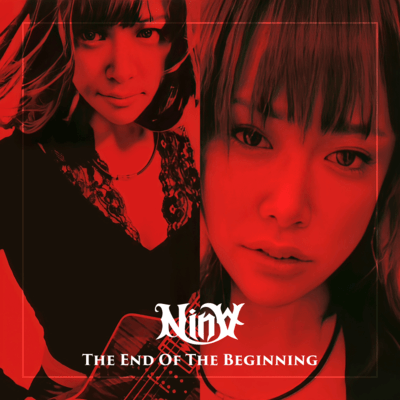 The End Of The Beginning Front Cover