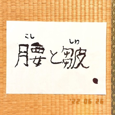 腰と皺のジャケット写真