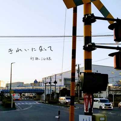 きれいになってのジャケット写真