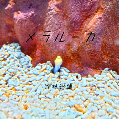 メラルーカのジャケット写真