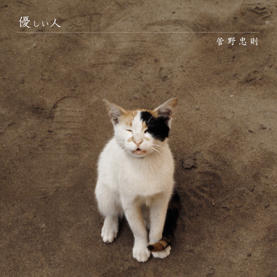 優しい人のジャケット写真