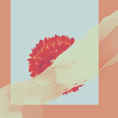 Aster Front Cover