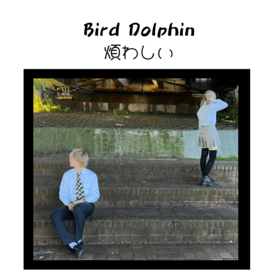 煩わしいのジャケット写真